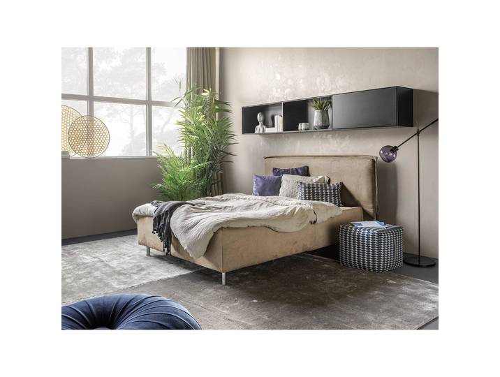 Polsterbett Homely 140 x 200cm Microfaser Panja Beige Buche