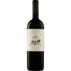 Mas Enguera Tinto Finca Enguera 2022 BIO