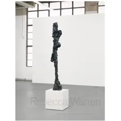 Rebecca Warren, Fachbücher von Rebecca Warren