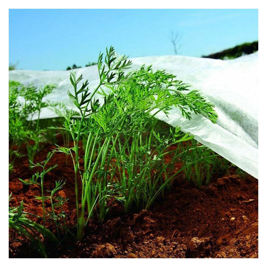 Biotop Schutzgewebe für Nutzpflanzen - Spule 2x20m 17gr/m² Garten (49823628)