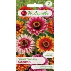 Zinnia Caroussel – Mischung mit zweifarbigen Blüten