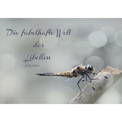 Die fabelhafte Welt der Libellen (Tischaufsteller DIN A5 quer)