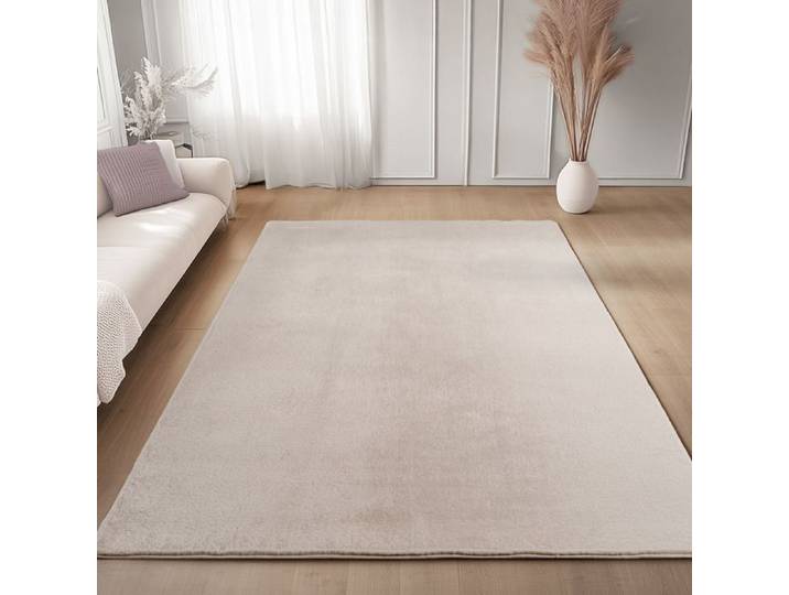 Carpettex Tapis Crème 200x280 cm  Lavable Tapis à Poils Courts Doucement Antidérapant pour Chambre Salon