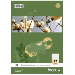Ringbucheinlage, A4, kariert, 50 Blatt, 70g/qm, LIN.22