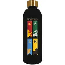 Kids Licensing, Trinkflasche + Thermosflasche, (0.80 l)