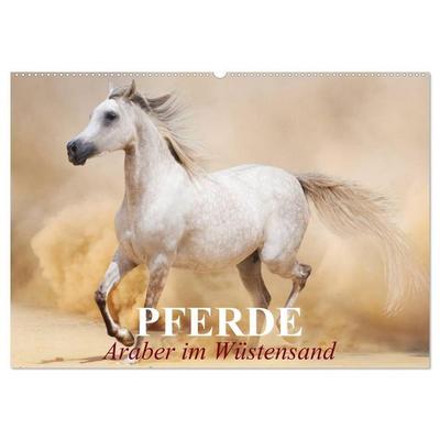 Pferde • Araber im Wüstensand (Wandkalender 2027 DIN A2 quer), CALVENDO Monatskalender