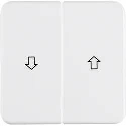 Berker Wippe pws 155229
