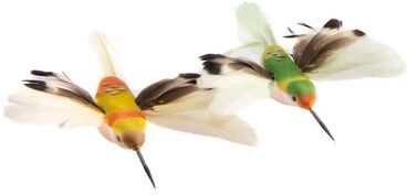 IH Casa Decor 2Pk Hummingbird Clips - Set of 12