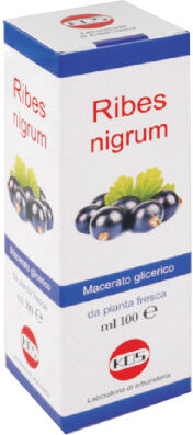 Kos Ribes Nigrum Mg 100 ml Gocce