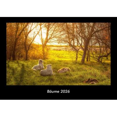 Bäume 2026 Fotokalender DIN A3