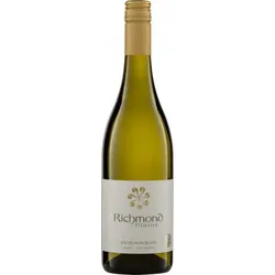 Sauvignon Blanc Nelson Richmond Plains 2023 BIO