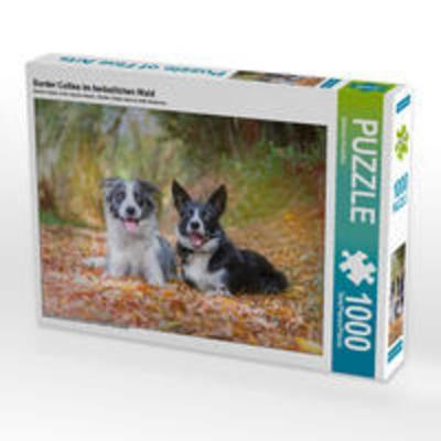 CALVENDO Puzzle Border Collies im herbstlichen Wald 1000 Teile Lege-Größe 64 x 48 cm Foto-Puzzle Bild von Barbara Homolka