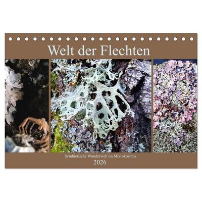 Welt der Flechten (Tischkalender 2026 DIN A5 quer), CALVENDO Monatskalender