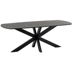 Esstisch Holztisch in modernem Design mit Spider Gestell
