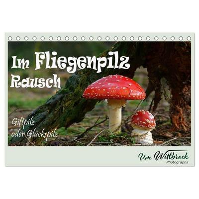 Im Fliegenpilz Rausch (Tischkalender 2027 DIN A5 quer), CALVENDO Monatskalender