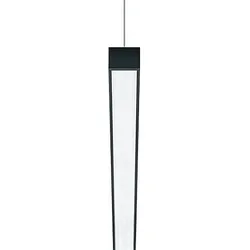 Zumtobel 60211133 Pendel-Modul SUPIL-P DI L1250 2500-940 LDO MPO19 BK