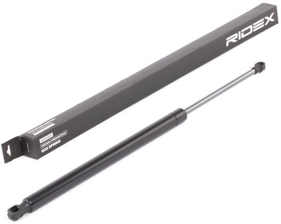 RIDEX 219G0901 Tailgate strut