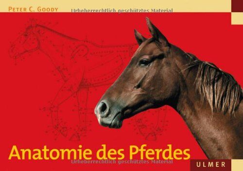 Peter Goody - Anatomie des Pferdes - Preis vom 05.10.2026 03:47:11 h