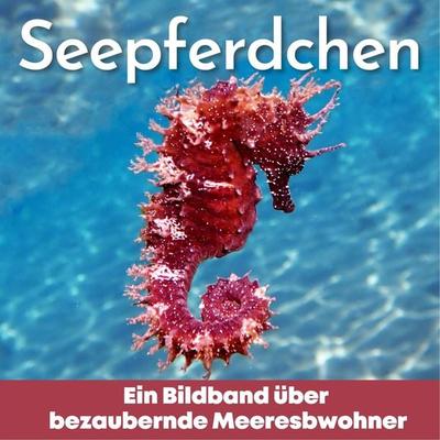 Seepferdchen, Taschenbuch von Bibi Hübsch, 27amigos, 978-3-7505-0587-2
