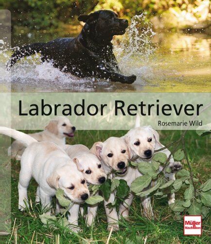 Rosemarie Wild - Labrador Retriever (Hunderassen) - Preis vom 09.10.2026 07:28:09 h
