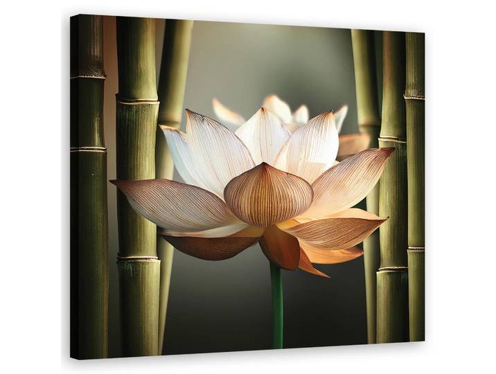 Feeby Wandbild blume zen bambus, Grün, Orientalisch, Rechteckig, 50x50 cm, Bilder & Rahmen, Bilder, Leinwandbilder