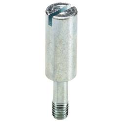 Wieland Electric 05.592.0621.0 Sperrbolzen 100 St.