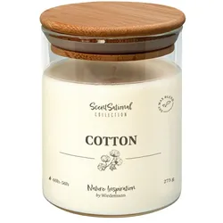 Wiedemann Kerzen Duftkerze im Glas "Cotton" 275g, 1 Stück