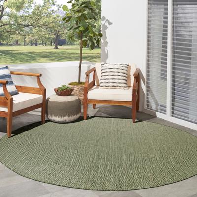 Nourison Horizon Indoor/Outdoor Chevron Area Rug.