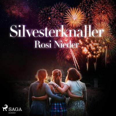 Silvesterknaller - Vulkanausbruch in der Eifel 2010/11 (Ungekürzt) - Rosi Nieder, Audio, 9788711857816