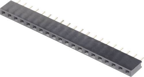 BKL Electronic Buchsenleiste (Standard) Anzahl Reihen: 1 Polzahl je Reihe: 36 10120802