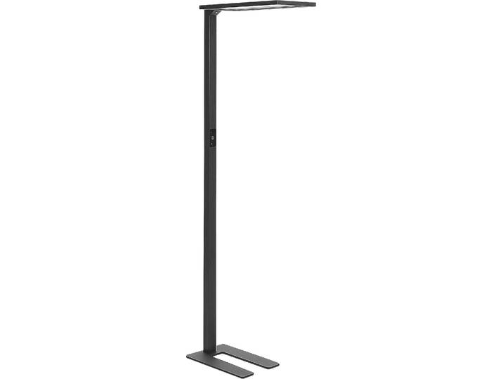 BELIANI LED-Stehlampe Schwarz Metall 196 cm mit Bewegungsmelder Dimmbar Tageslichtsensor Touchfunktion Langes Kabel Bogenlampe Industrie Wohnzimmer