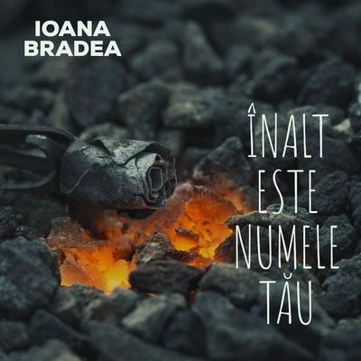 Înalt este numele tău - Ioana Bradea, Audio, 9789152189818