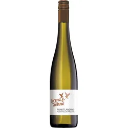 Muskateller Qualitätswein Fruchtig Punktlandung Lorenz & Söhne 2025