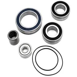 Black Bearing, Kugellager, Lagerkit für panasonic motor 36v