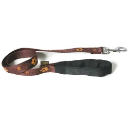 Arka Nepa (Hund, Spazieren), Halsband + Leine