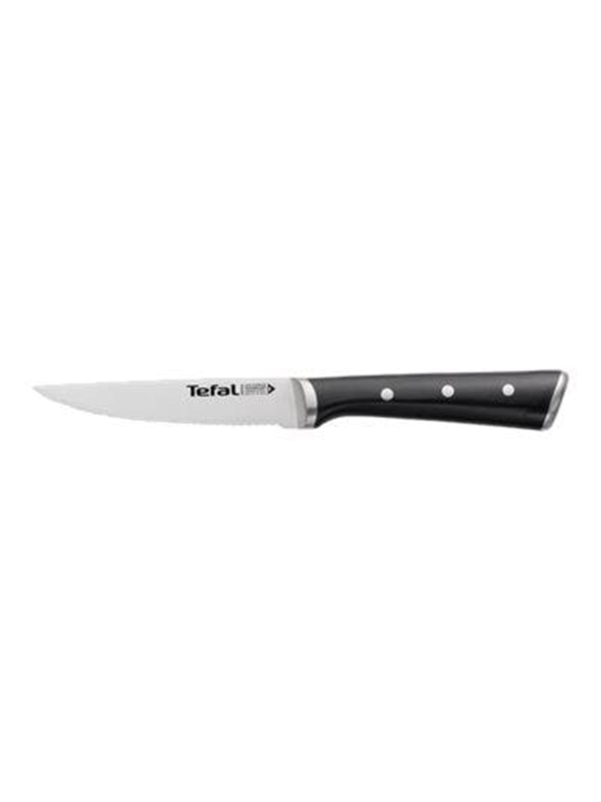Tefal Ice Force - steak knife