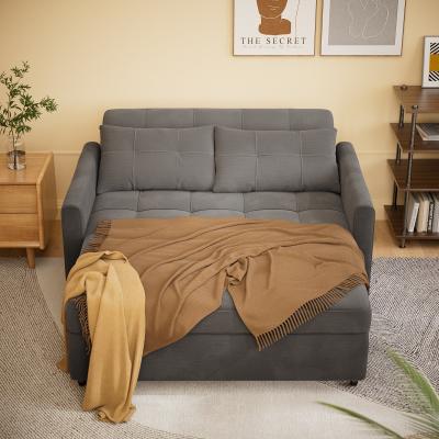 Gizoon Convertiable 3 in 1 Sofa Loveseat with Pull-up Bed