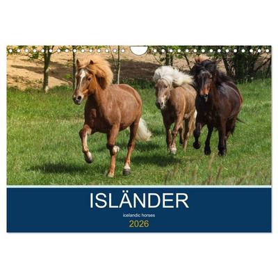 Isländer - icelandic horses (Wandkalender 2026 DIN A4 quer), CALVENDO Monatskalender