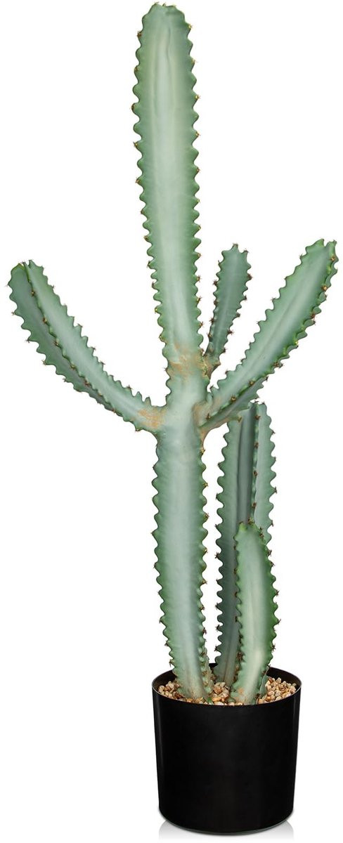 Merkloze realistische cactus met succulent decoratie in pot