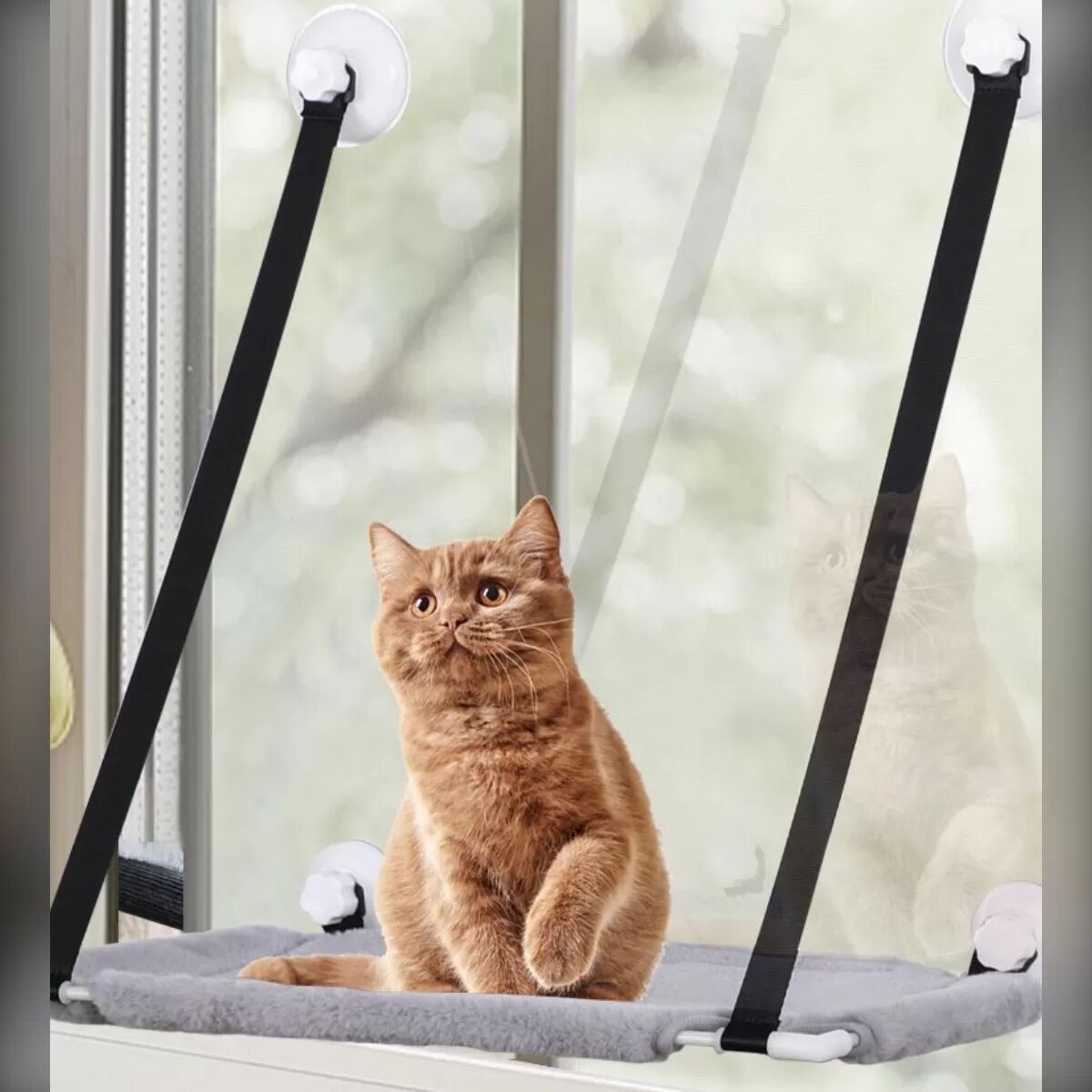 INF Hamac Suspendu à Ventouse en Peluche d'Hiver pour Chat - Lit Chaleureux et Confortable Rose