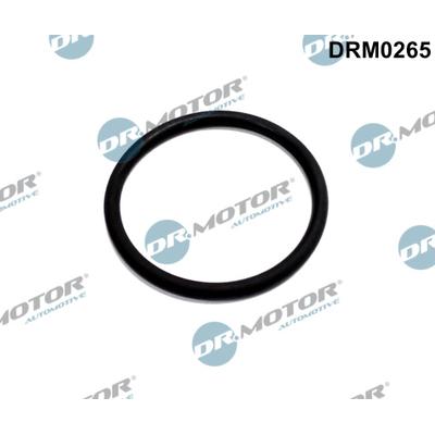 DR.MOTOR AUTOMOTIVE Dichtung, Leitung AGR-Ventil drm0265 für Ford