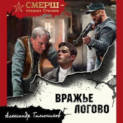 Vrazhe logovo - Aleksandr Tamonikov, Audio, 9785042078699