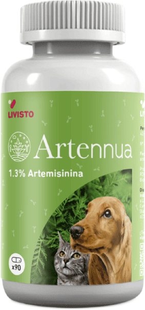 Livisto Artennua 90 Caps