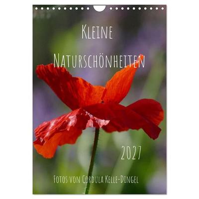 Kleine Naturschönheiten (Wandkalender 2027 DIN A4 hoch), CALVENDO Monatskalender