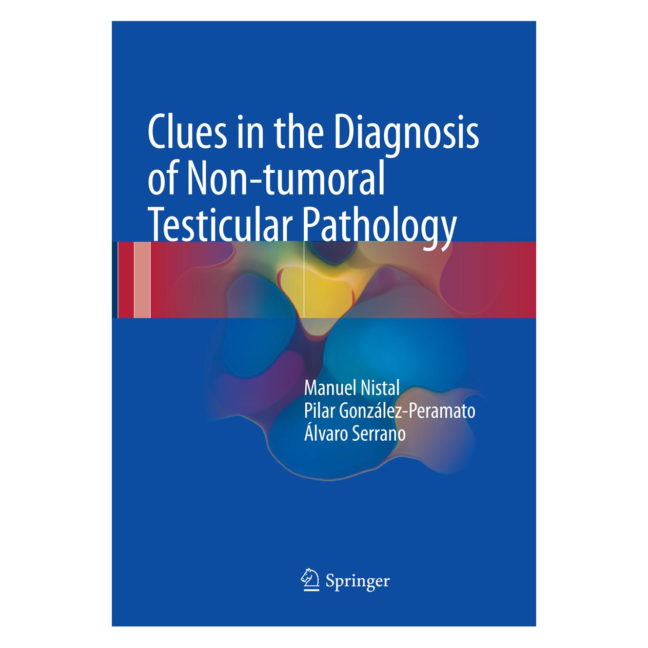 Springer Clues in the Diagnosis of Non-tumoral Testicular Pathology (Englisch, Softcover, Álvaro Serrano, lvaro Serrano, Manuel Nistal, Pilar González-Peramato, Pilar Gonzlez-Peramato) (56004511)