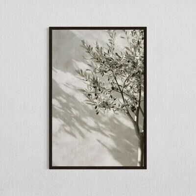 Inspire Select Minimalist Olive Tree Canvas Wall Art Mediterranean Still Life Poster For Natural Home Decor tl1557 19.69 27.56 In