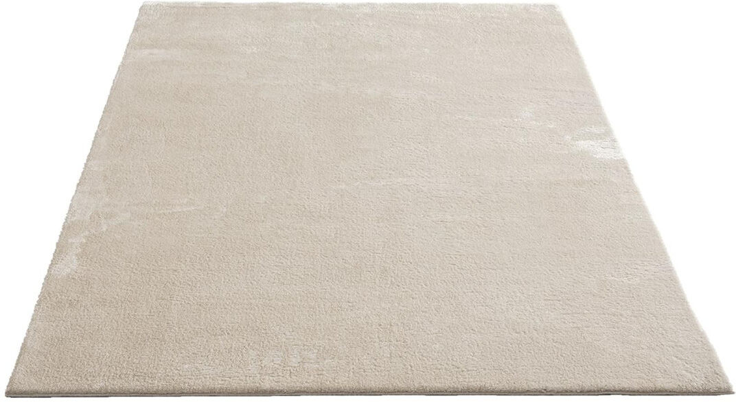 the carpet Relax Machine Woven Beige Indoor Rug Beige Rectangle 240 x 340cm