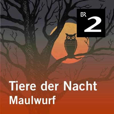 Tiere der Nacht: Maulwurf - Silke Wolfrum, Audio, 4057664414205