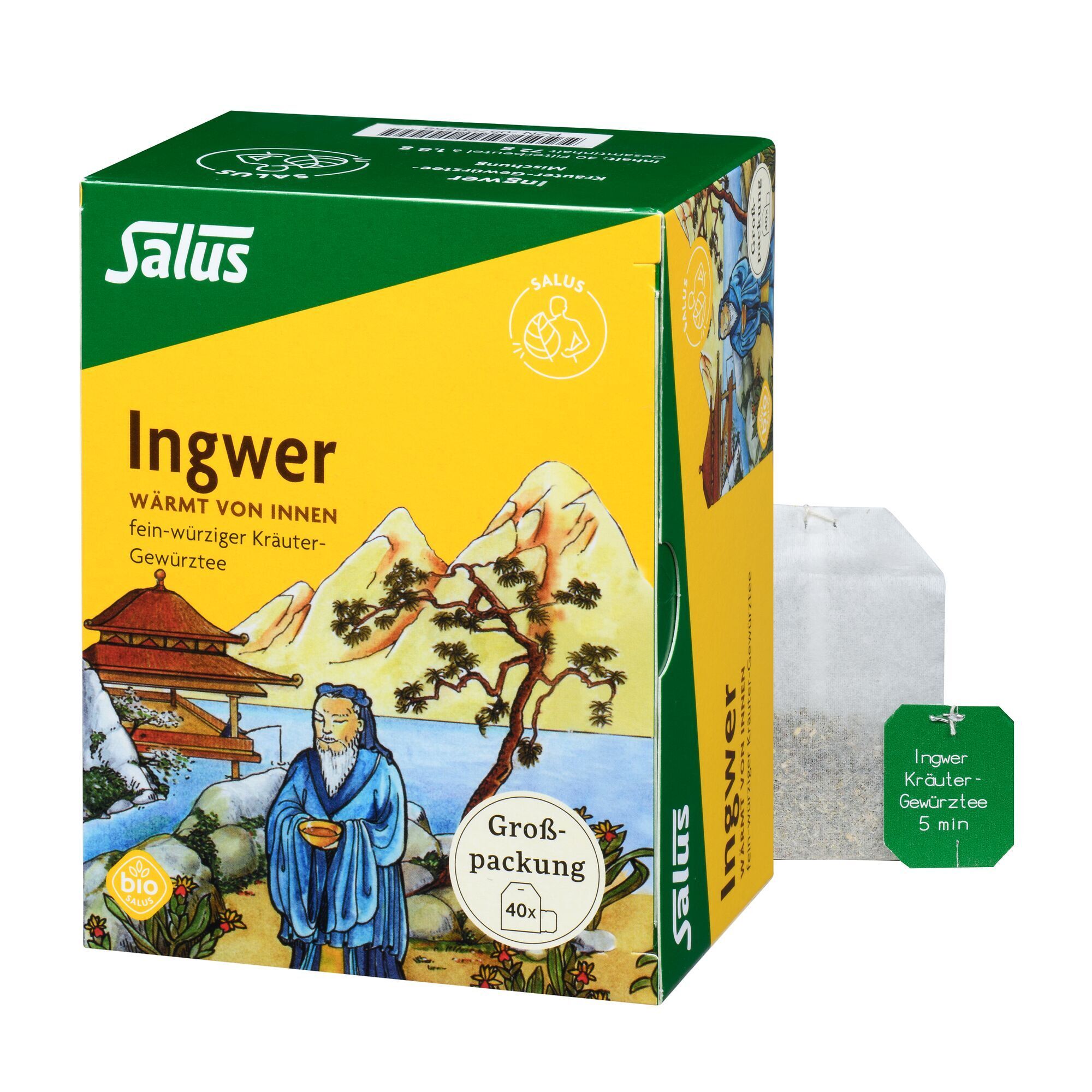 Ingwer KRÄUTER-GEWÜRZTEE-Mischung Bio Salus Fbtl. 40 St Filterbeutel