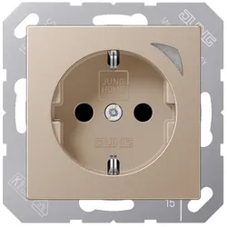 Jung SCHUKO Steckdose BT A 1521 S CH